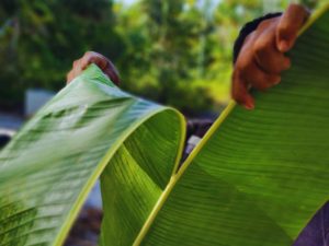 Sustainable Glamping Amazon EcoCamp - eco-friendly Luxury Amazon Glamping